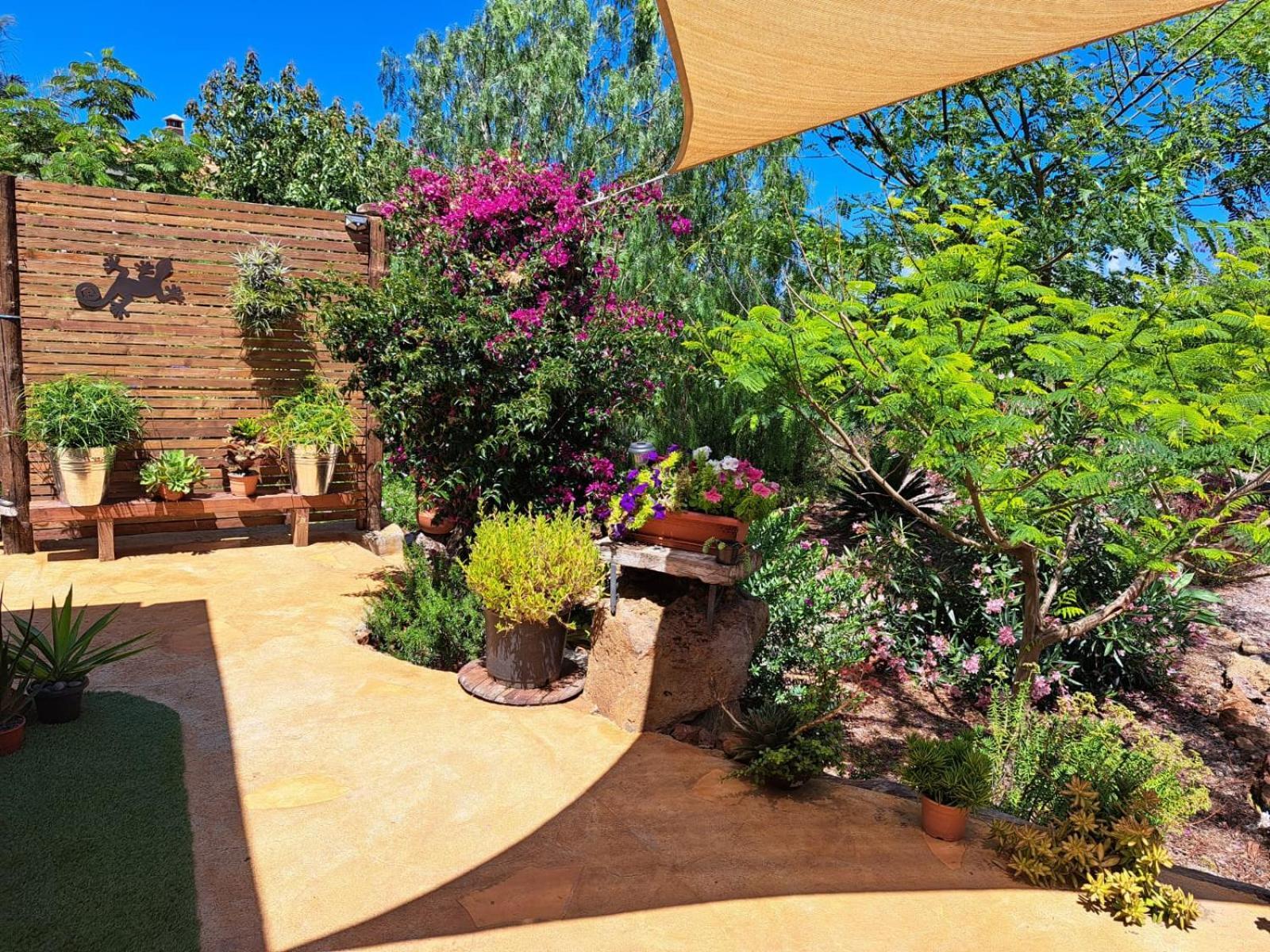 דירות Puntagorda Casa Nogal מראה חיצוני תמונה