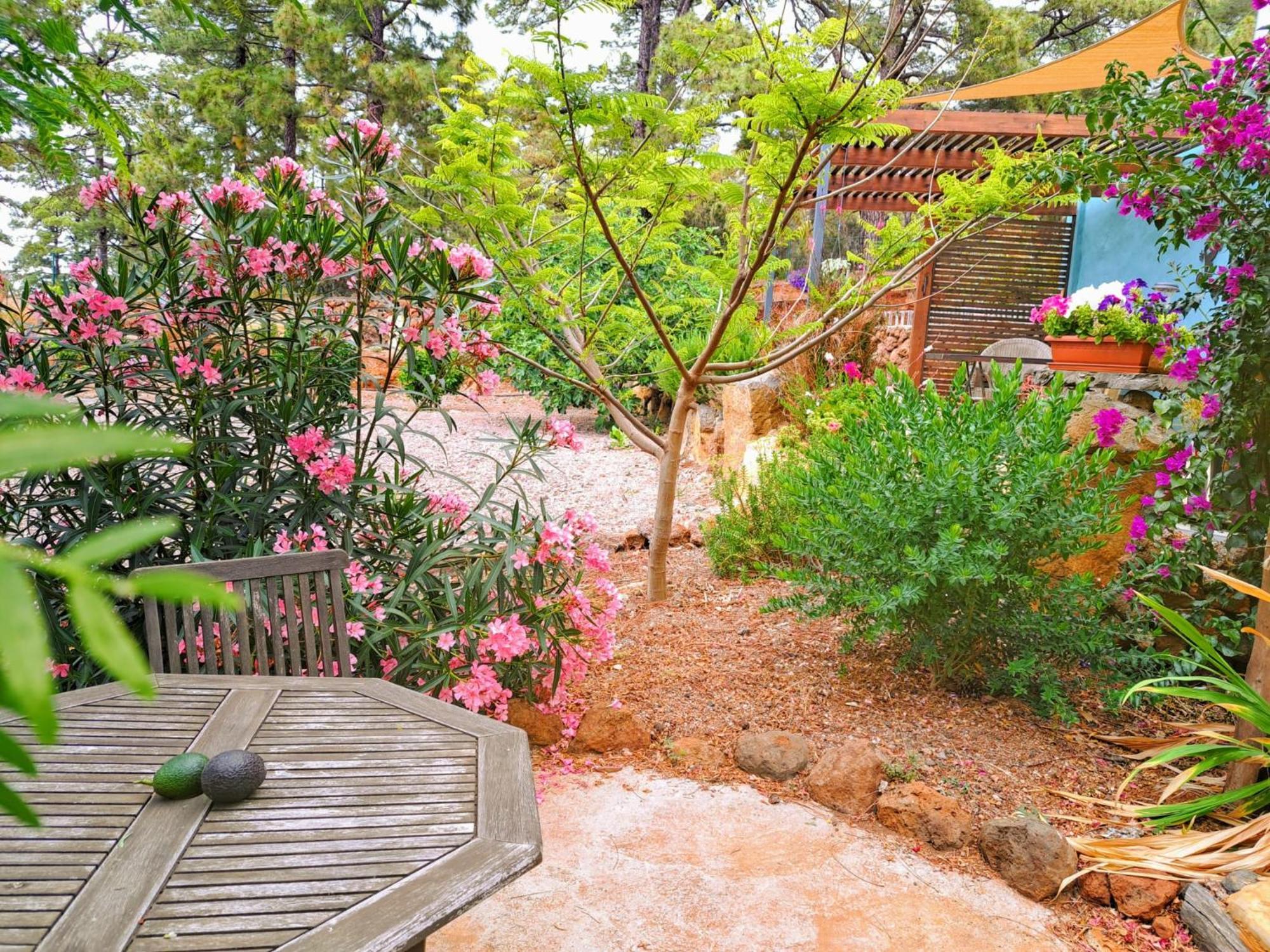 דירות Puntagorda Casa Nogal מראה חיצוני תמונה