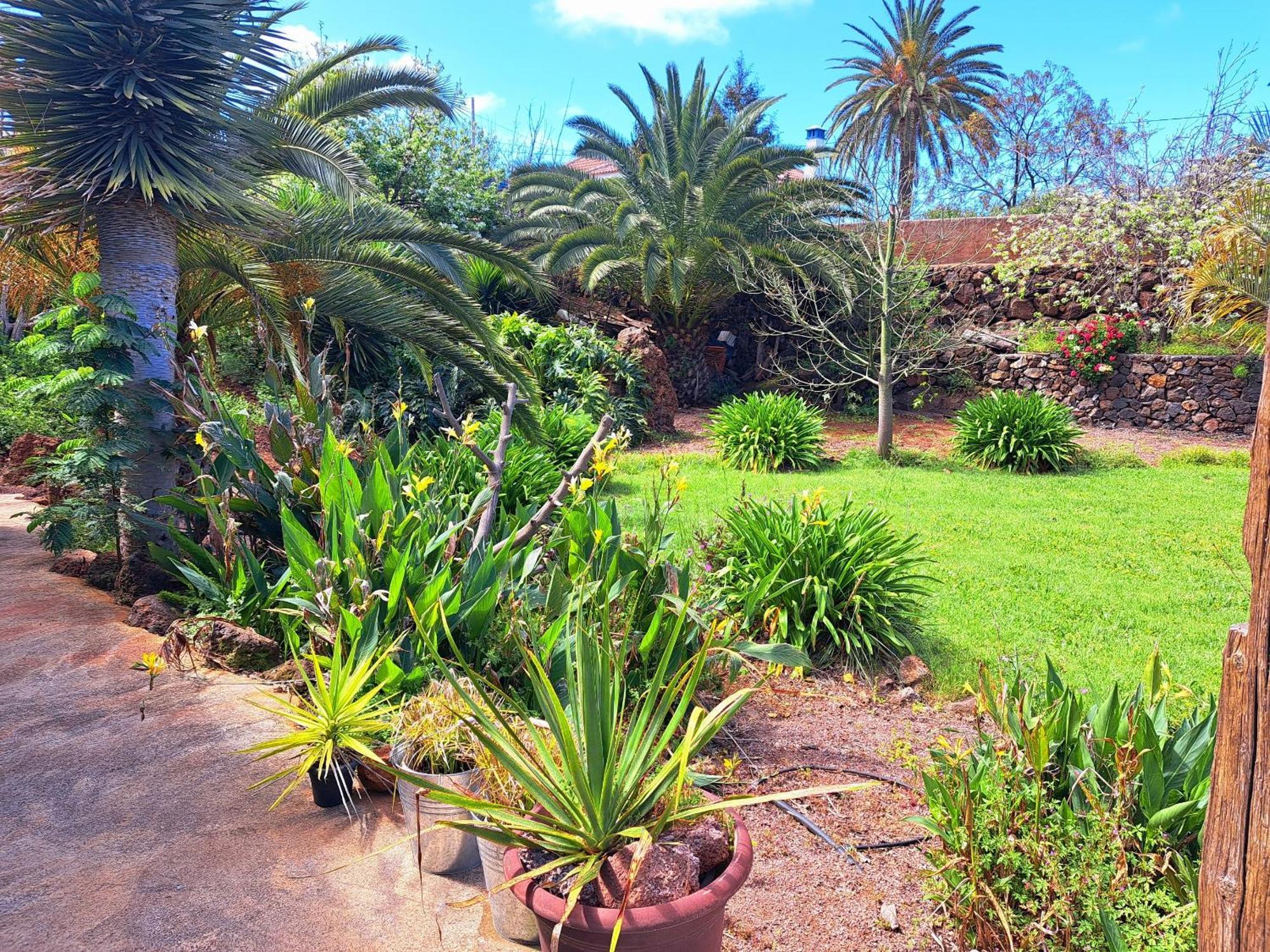 דירות Puntagorda Casa Nogal מראה חיצוני תמונה